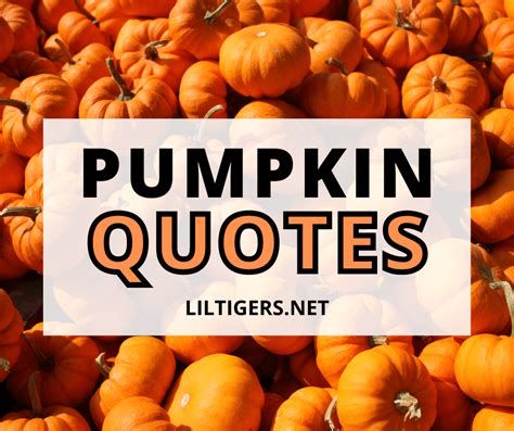 pumpkin quotes short|cute pumpkin patch sayings.